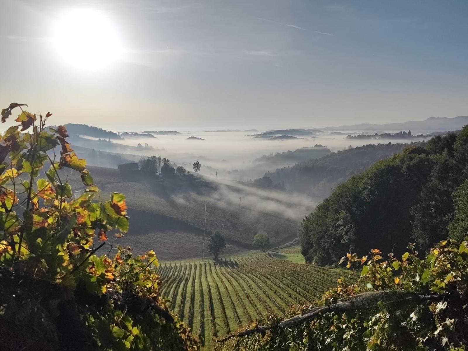 Bed and Breakfast Weingut Fellner Leutschach Zewnętrze zdjęcie